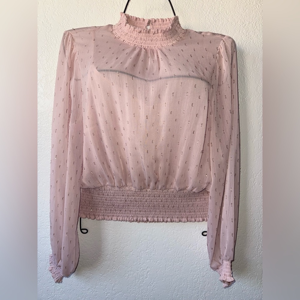 Express Light Pink Sheer Blouse